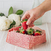 Beeswax Wraps